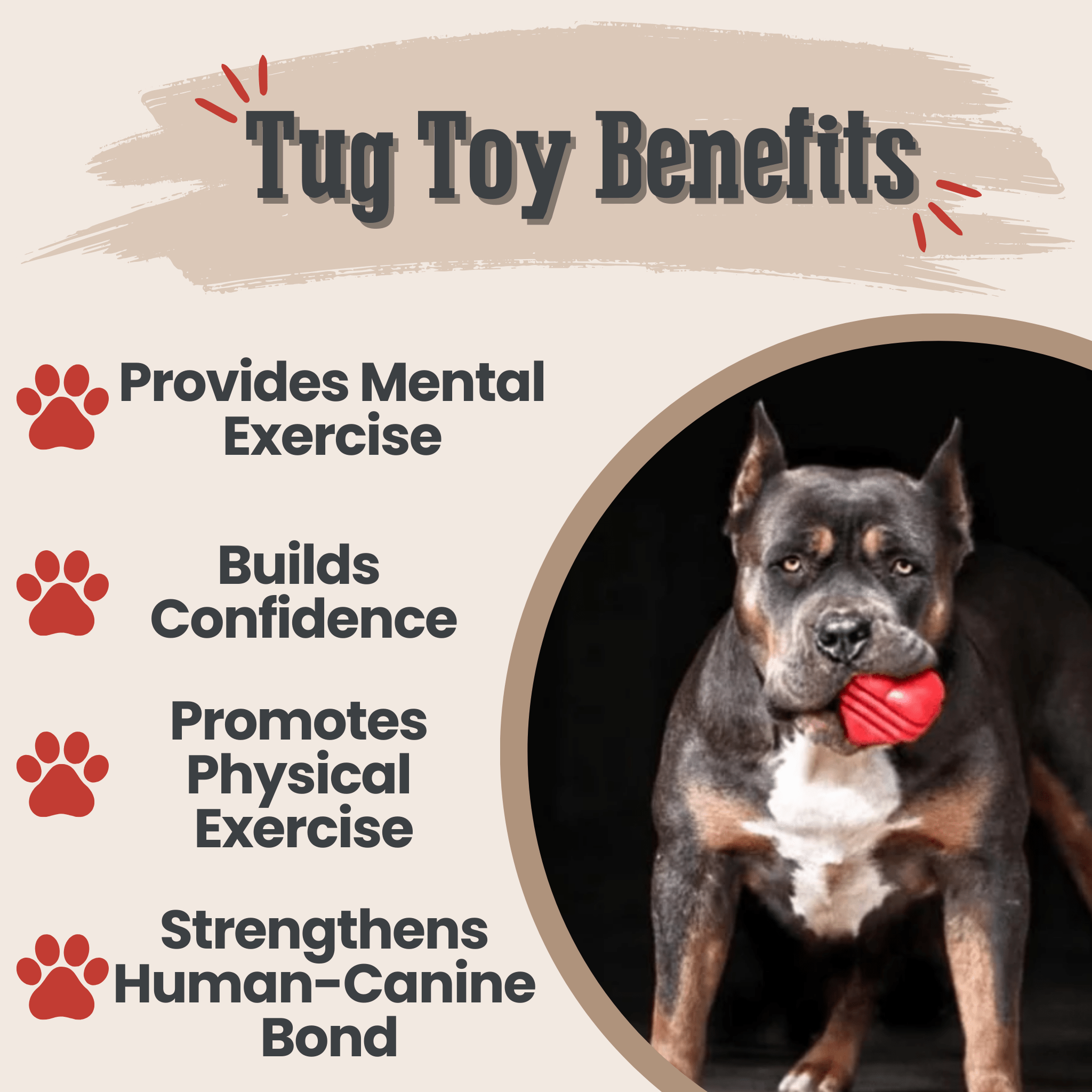 Durable USA-Made Dog Tug Toy for Interactive Play