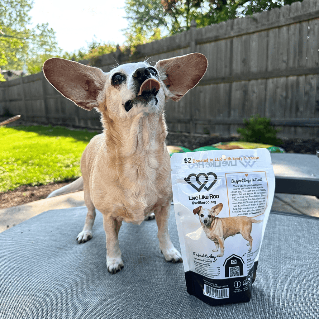 Live Like Roo Turkey Chips Dog Treats – Single Ingredient