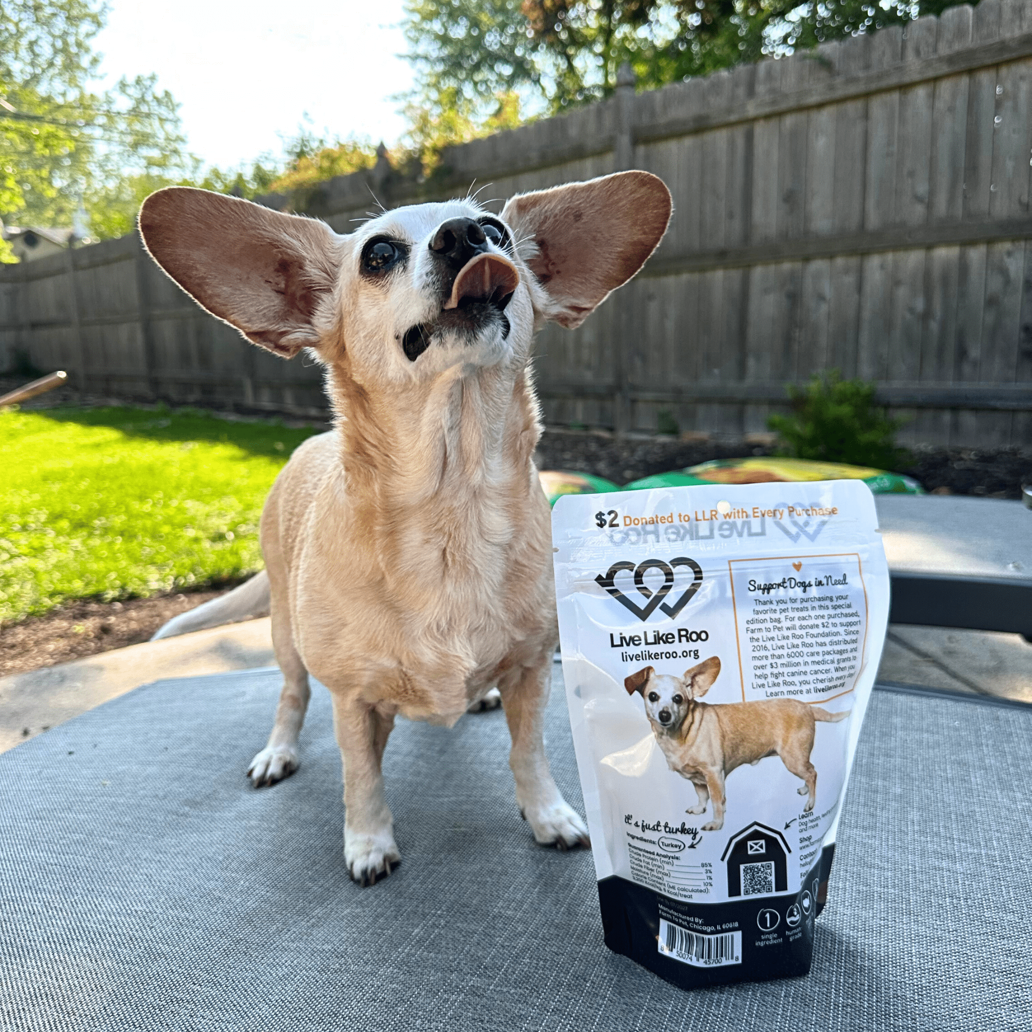 Live Like Roo Turkey Chips Dog Treats – Single Ingredient