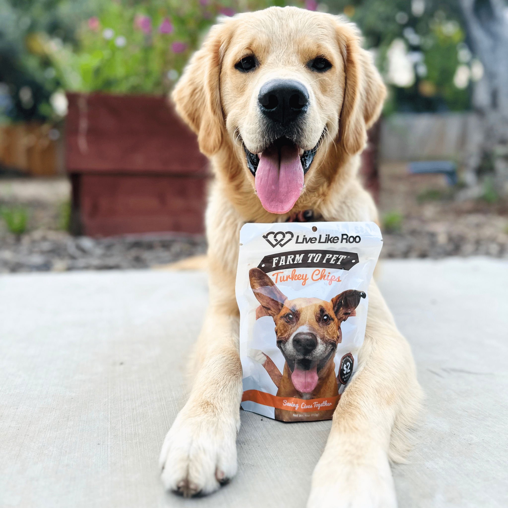 Live Like Roo Turkey Chips Dog Treats – Single Ingredient