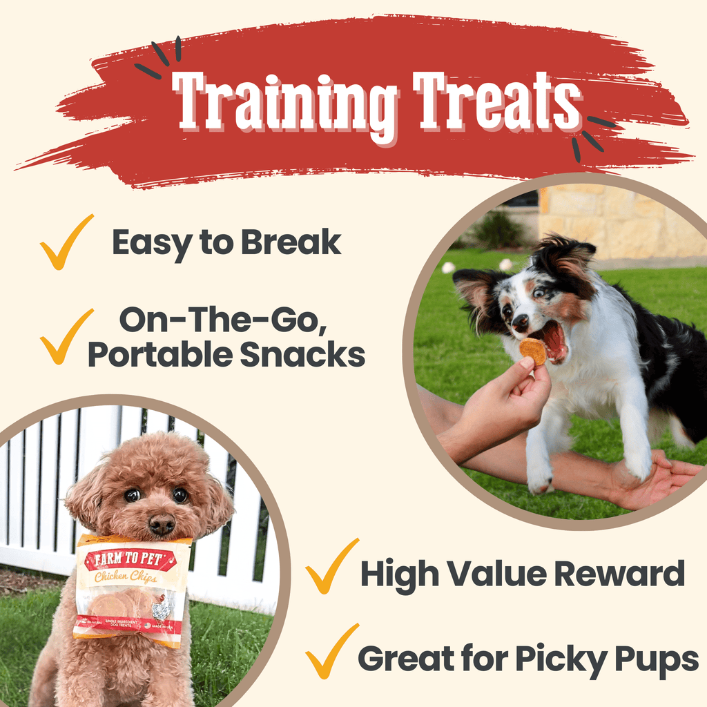 Chicken Chip Snack Packs for Dogs and Cats – 100% Chicken Breast