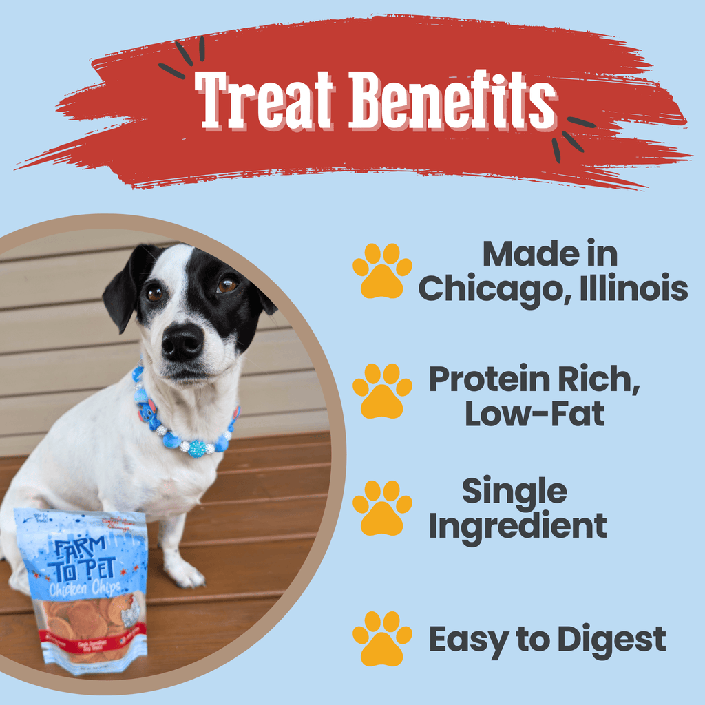 Chicken Chips Single-Ingredient Pet Treats for Dogs & Cats