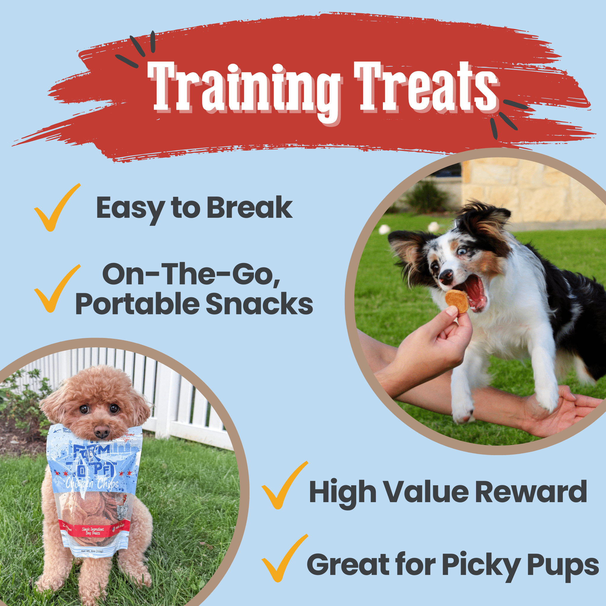 Chicken Chips Single-Ingredient Pet Treats for Dogs & Cats