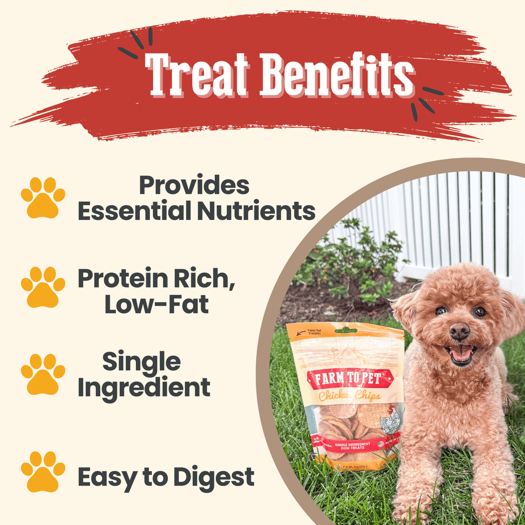Chicken Chips Dog Treats – Single Ingredient, USA Made