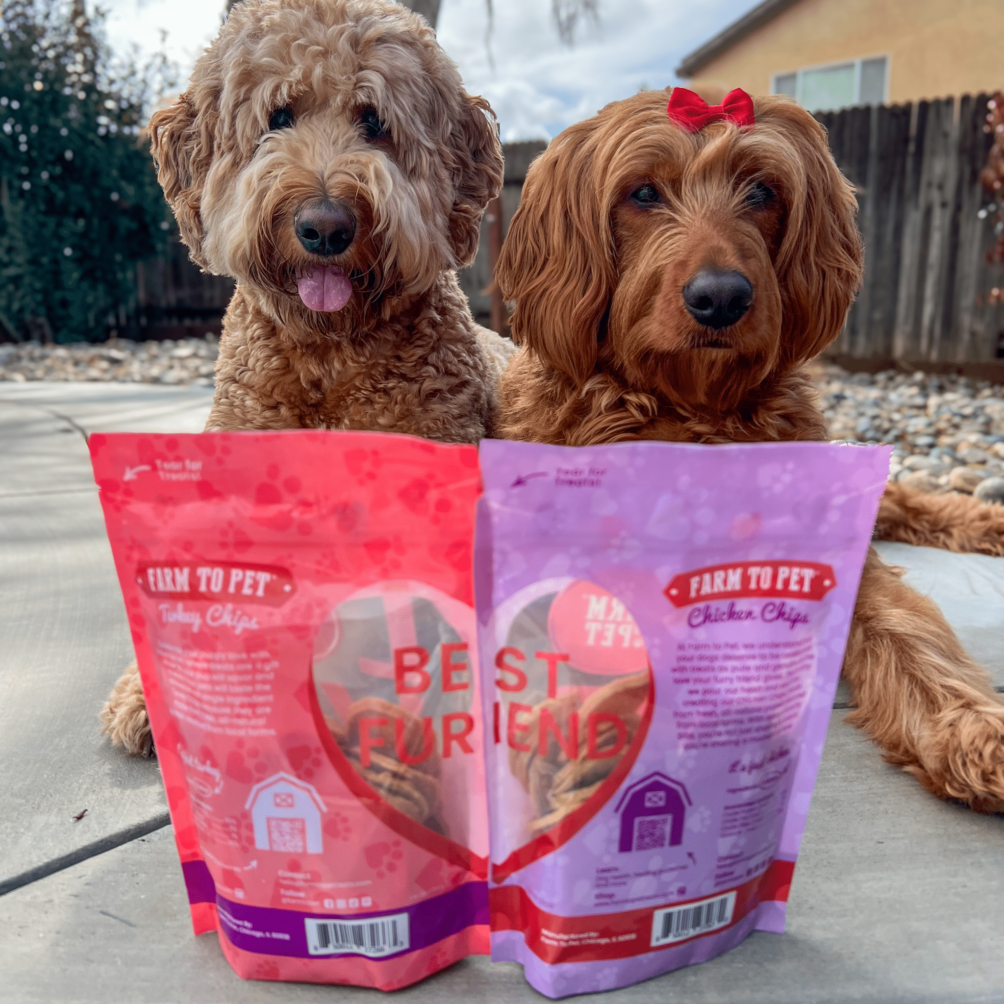 Puppy Love Dog Treat Duo – Chicken & Turkey Chips Value Pack