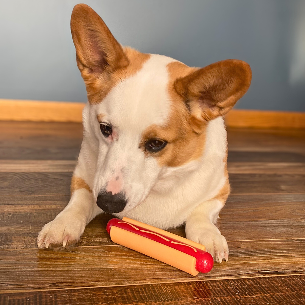 Durable USA-Made Dog Tug Toy for Interactive Play