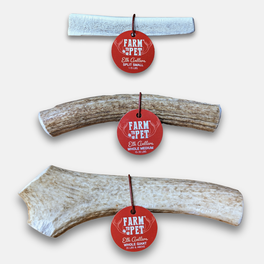 Elk Antler Dog Chew – Split or Whole, Wild-Gathered in Wyoming