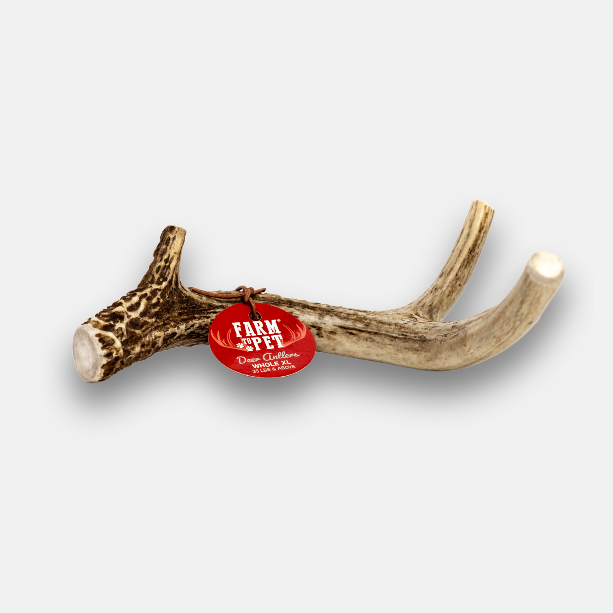 Whole Deer Antler Chew for Large Dogs (35 lbs and Up)