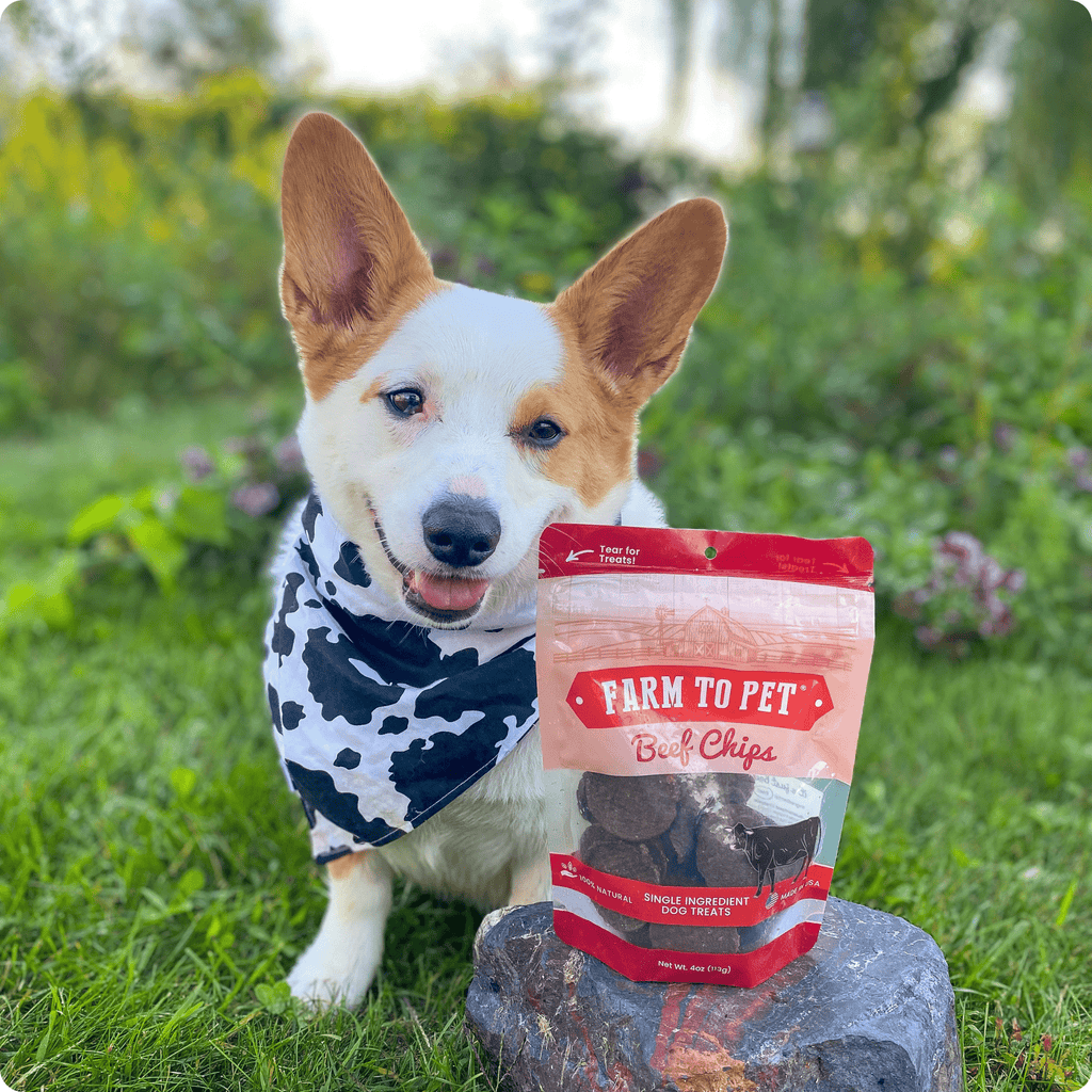 Farm to Pet Beef Chips Dog Treats – Single Ingredient, 100% Beef