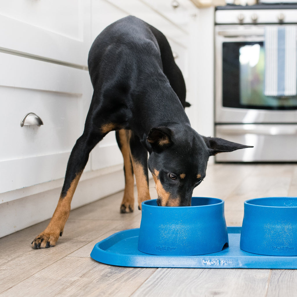 Dog Placemat with Raised Edges – Kelp or Tropic Red