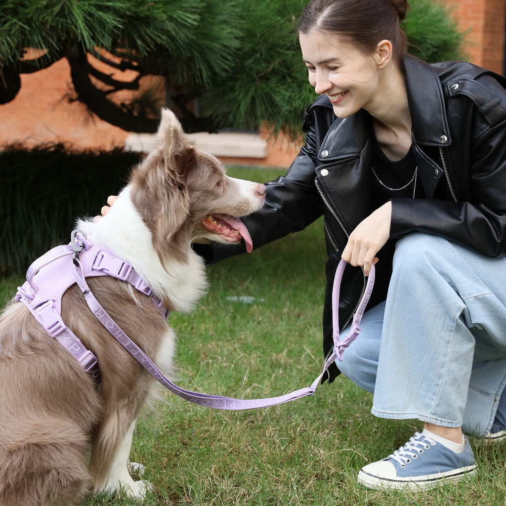 Durable Dog Leash with Padded Handle – Apricot, Mint Purple, Mint Green