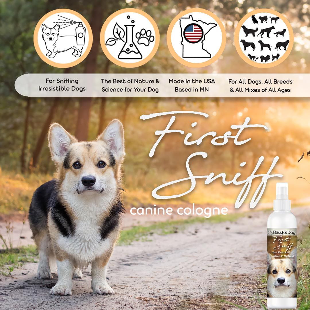 First Sniff Dog Cologne with Mimosa and Musk Scent