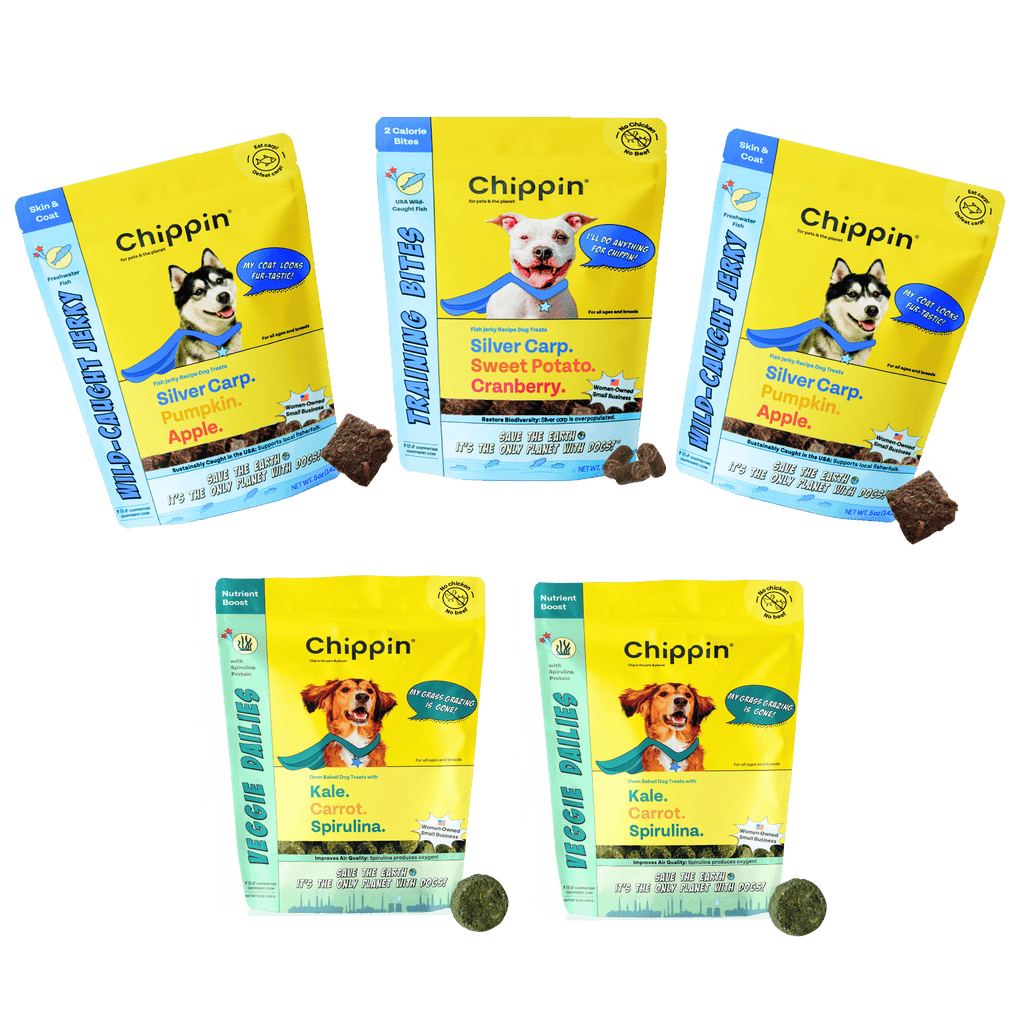 Fish Jerky and Veggie Dog Treat Bundle