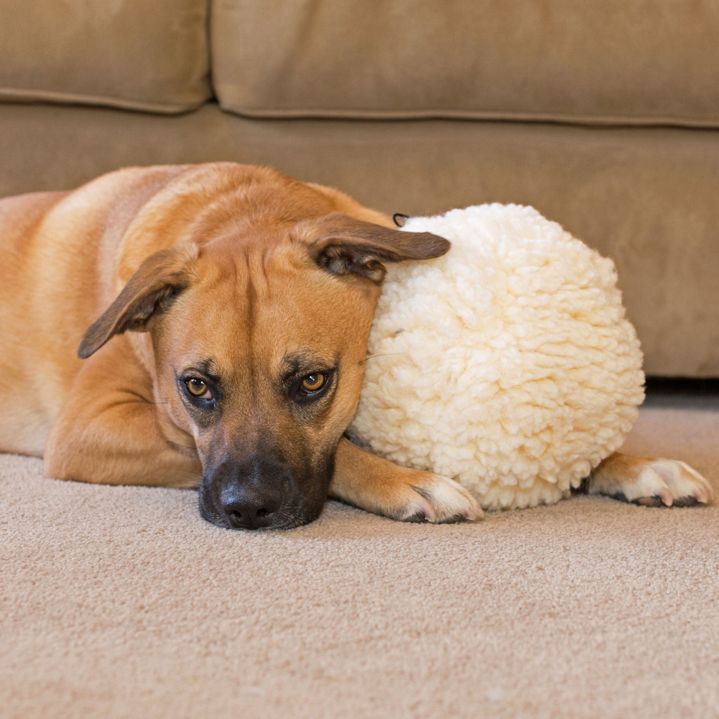 HuggleFleece Ball Plush Dog Toy – Synthetic Lambswool, Small or Large