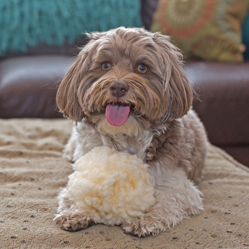 HuggleFleece Ball Plush Dog Toy – Synthetic Lambswool, Small or Large