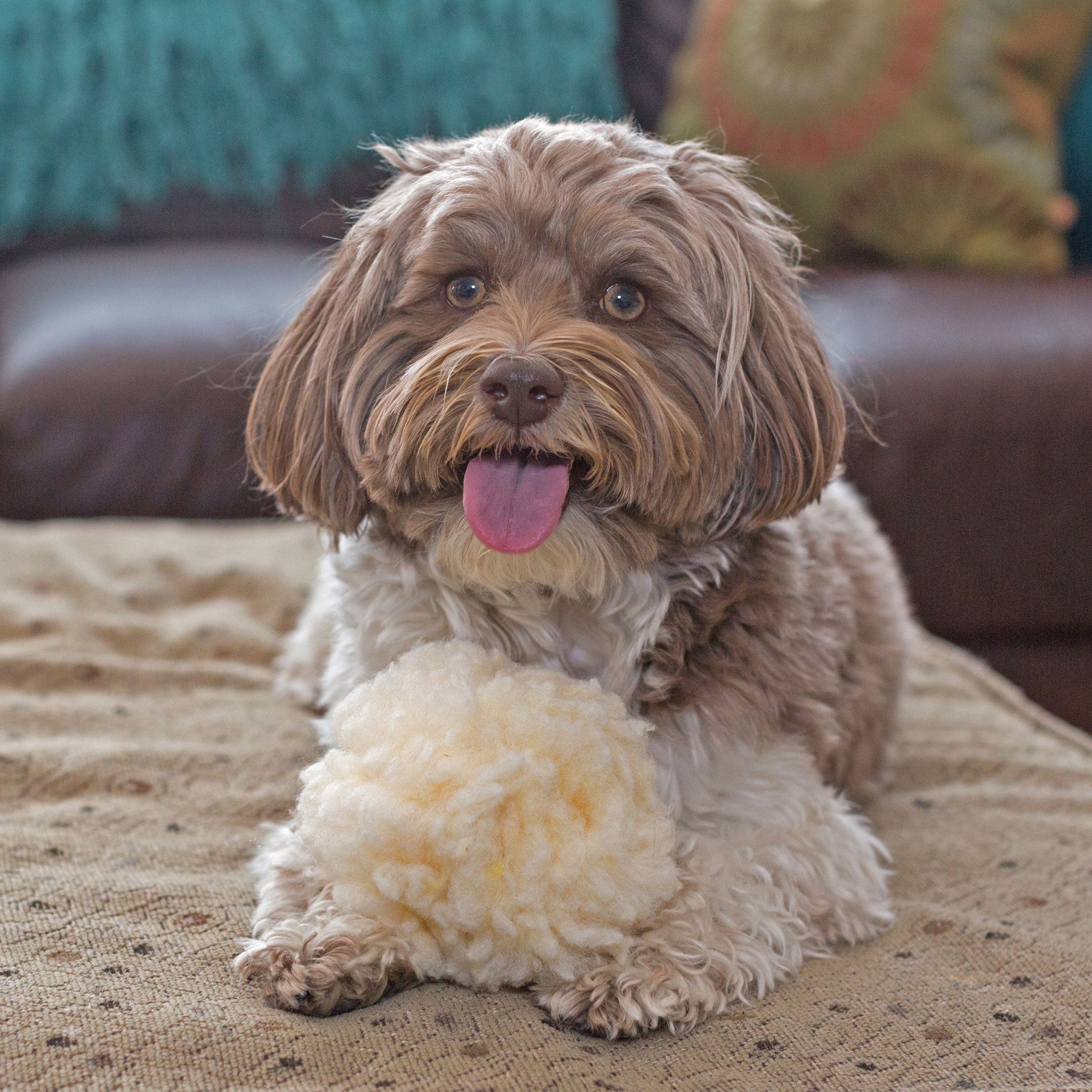 HuggleFleece Ball Plush Dog Toy – Synthetic Lambswool, Small or Large