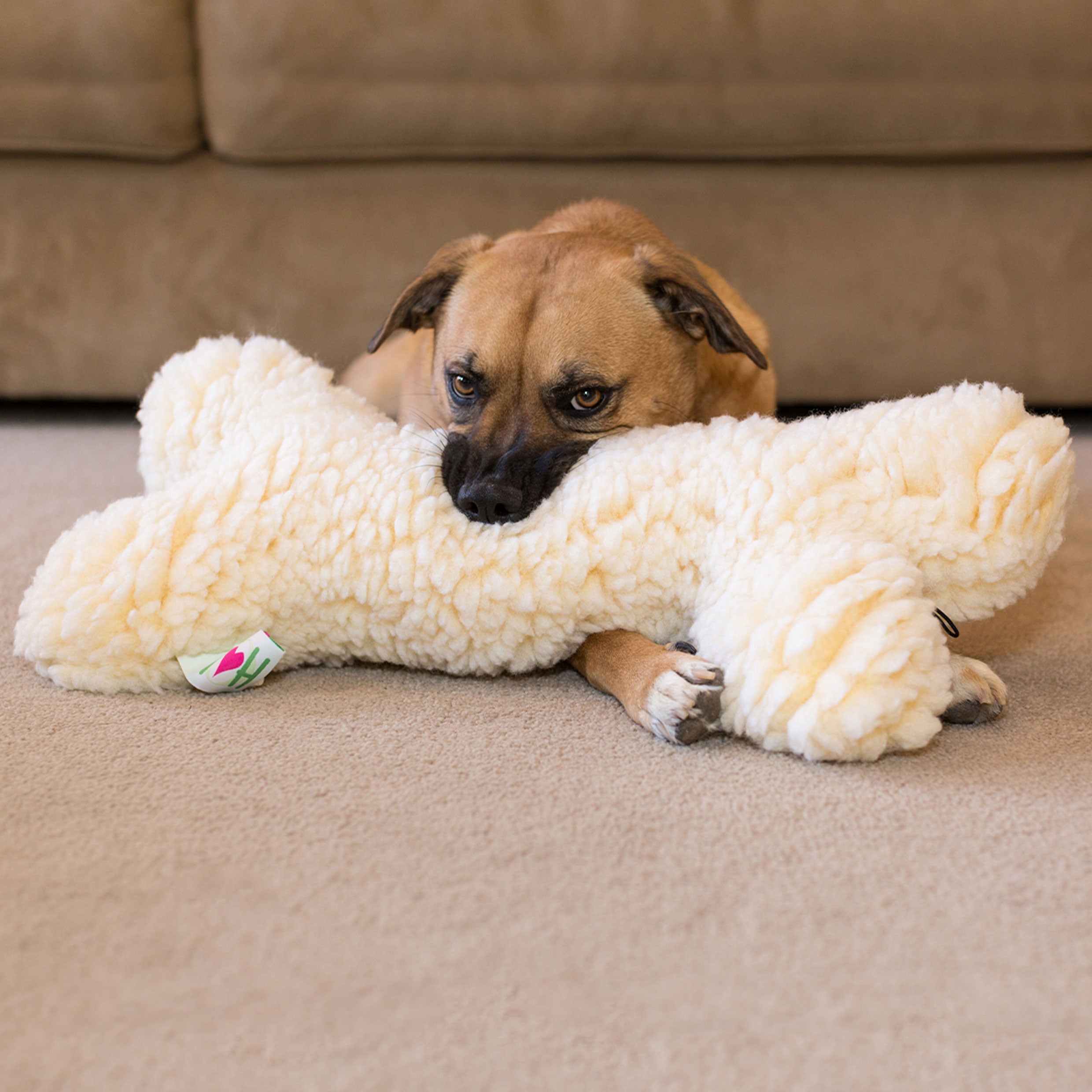 HuggleFleece Bone Dog Toy – Plush Synthetic Lambswool, Squeaker