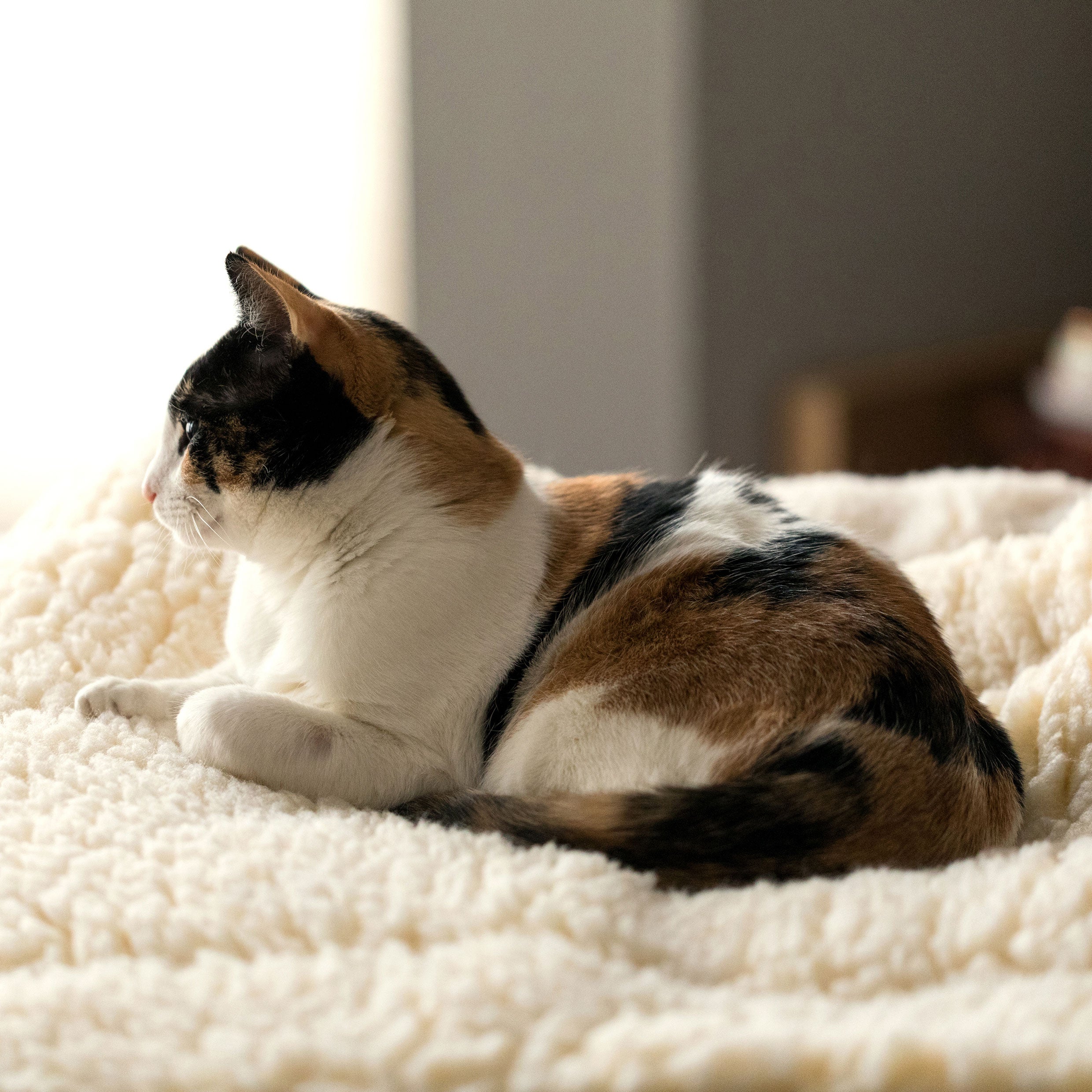HuggleFleece Mat Stuffing-Free Orthopedic Pet Bed