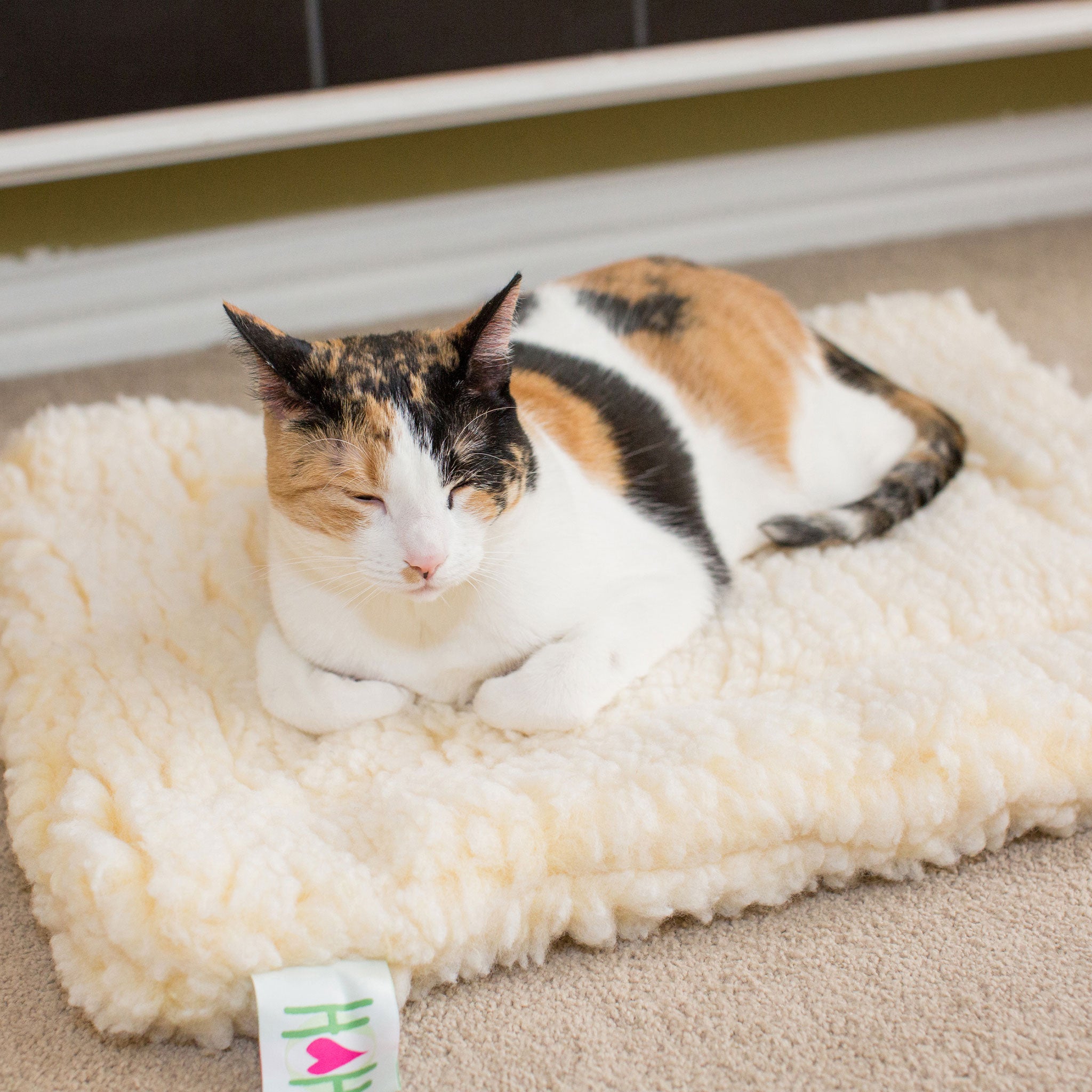 HuggleFleece Mat Stuffing-Free Orthopedic Pet Bed