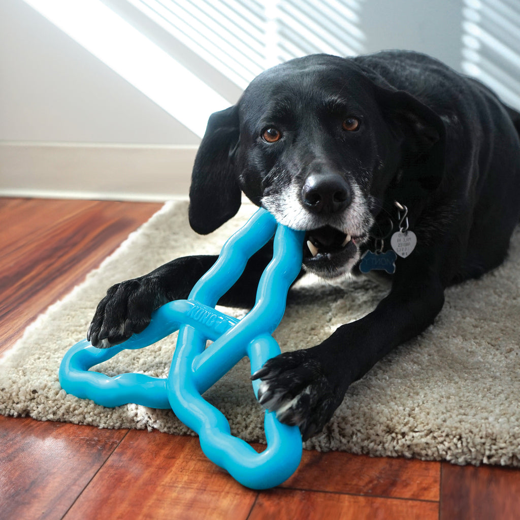KONG Flyangle Tri-Handled Dog Fetch and Tug Toy