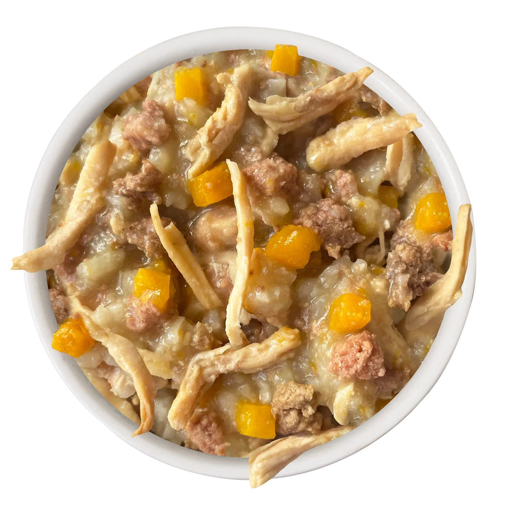 Chicken & Rice Sensitive Stomach Dog Food with Pumpkin