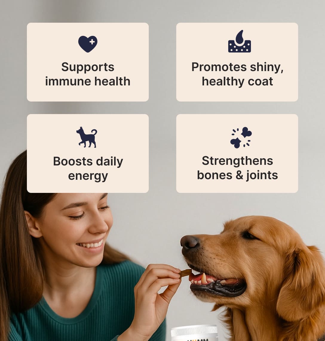 Dog Joint Chews Variety Pack — Chicken + Beef Flavors (2 Tubs, 180 Chews)