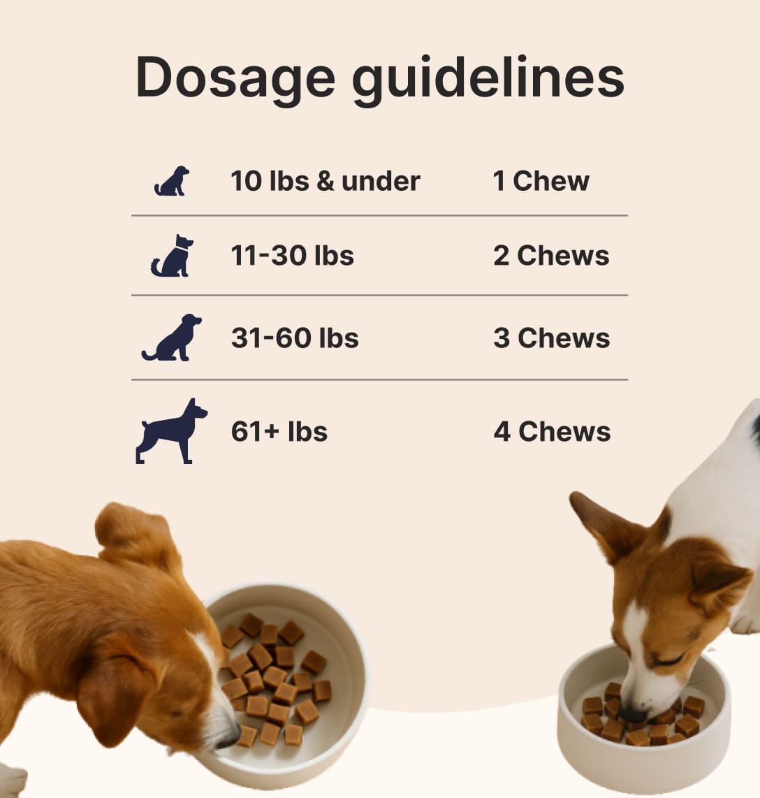 Dog Joint Chews Variety Pack — Chicken + Beef Flavors (2 Tubs, 180 Chews)