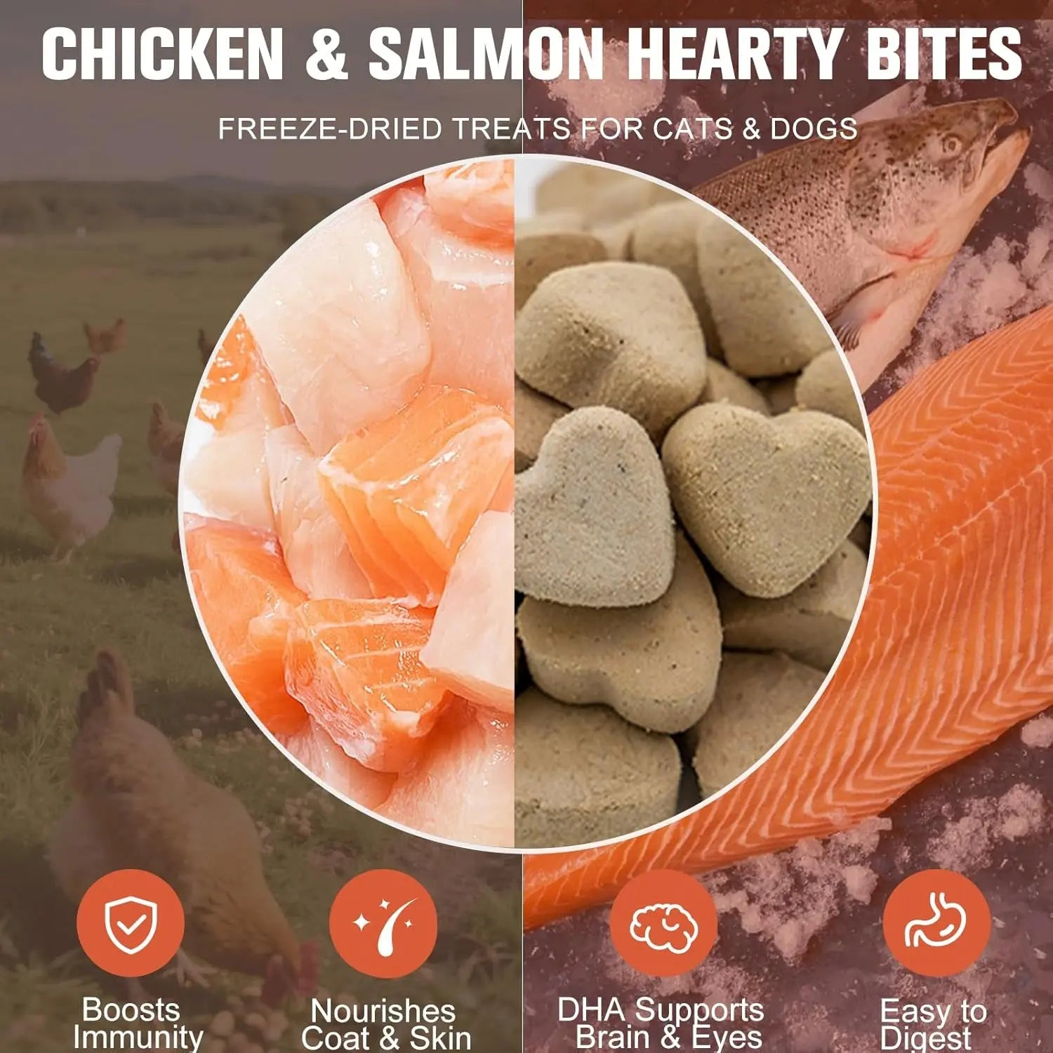Freeze-Dried Chicken & Salmon Bites for Dogs and Cats