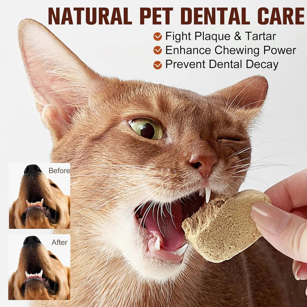 Freeze-Dried Chicken & Salmon Bites for Dogs and Cats