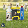 At-Home Parasite Care Kit for Dogs with Dewormer, Flea Shampoo & Toy