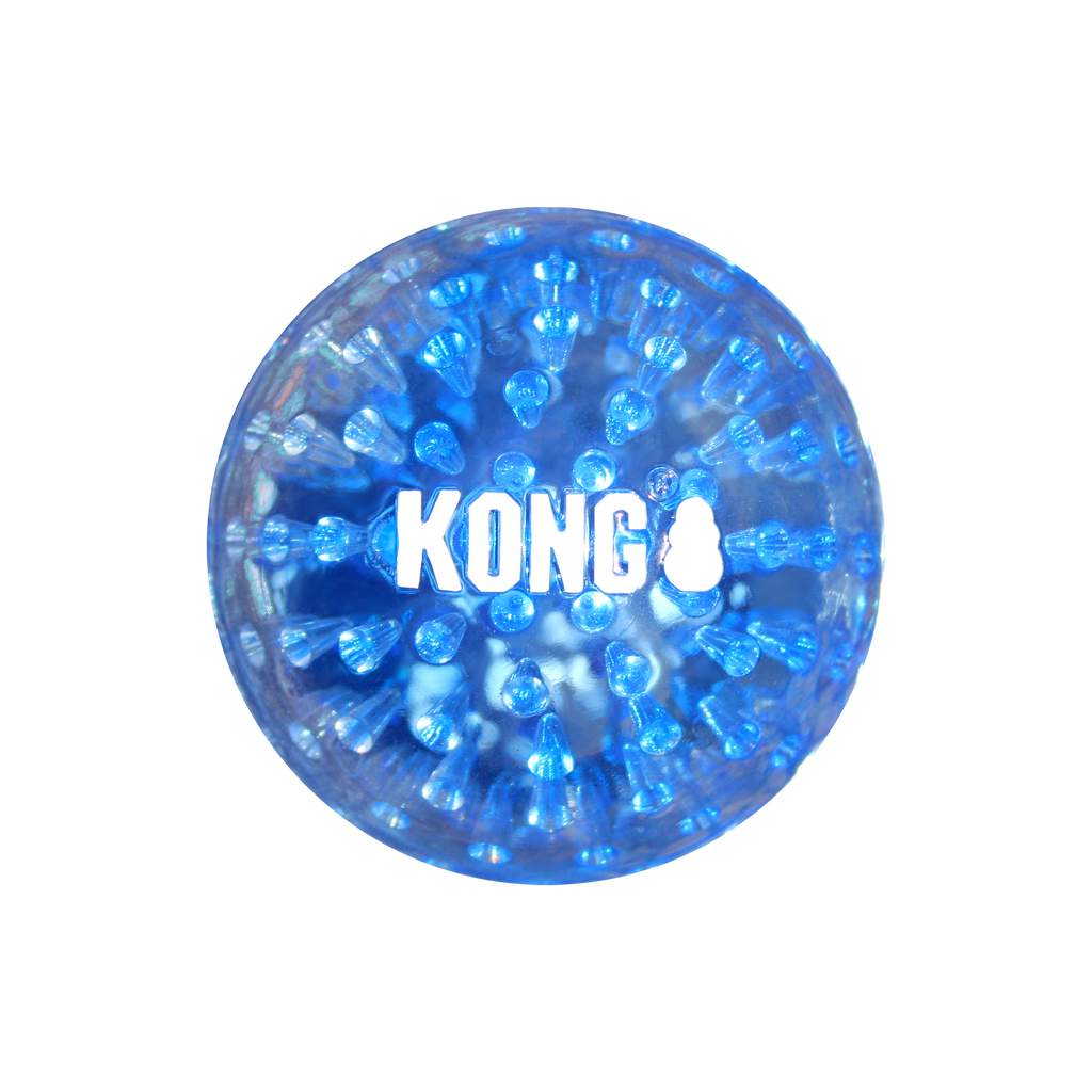 KONG Geodz Dog Fetch Toy with Squeaker and Crackle Sounds