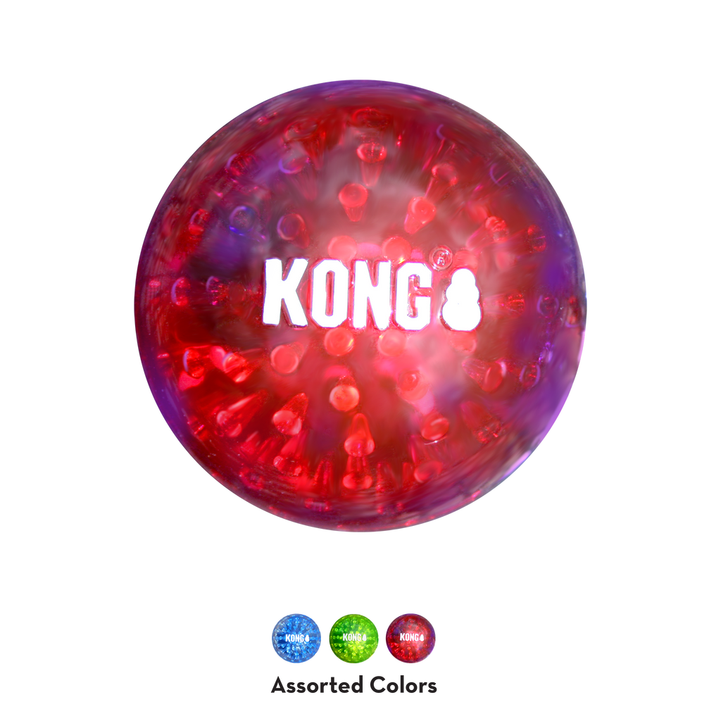 KONG Geodz Dog Fetch Toy with Squeaker and Crackle Sounds