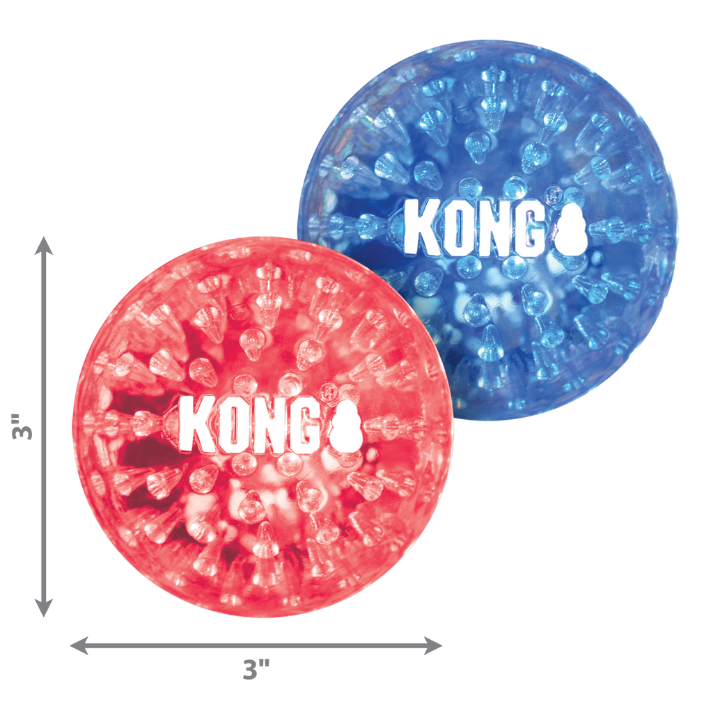 KONG Geodz Dog Fetch Toy with Squeaker and Crackle Sounds