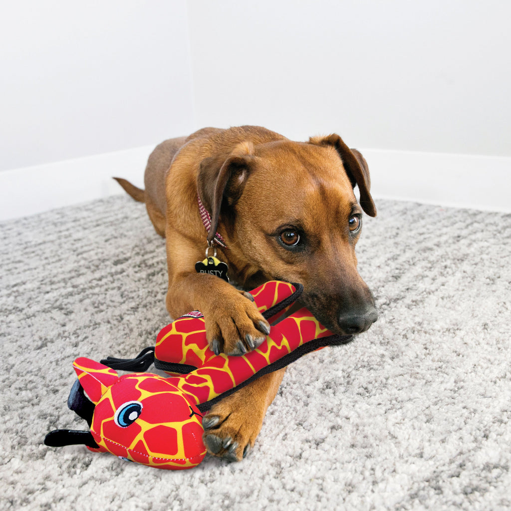 KONG Ballistic Giraffe Durable Dog Toy with Squeaker and Rattle