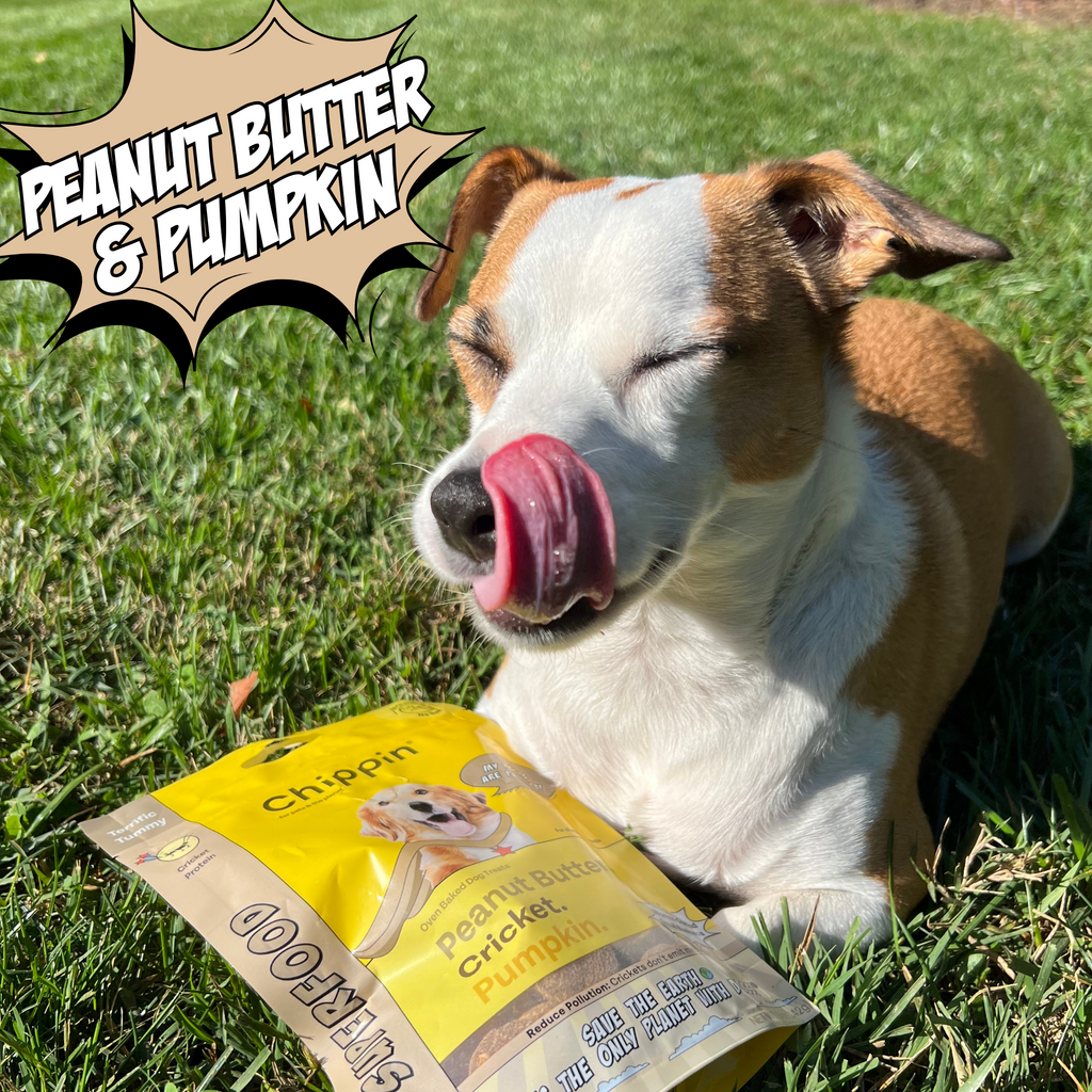 Cricket Dog Treats – Chicken-Free, Human-Grade Ingredients
