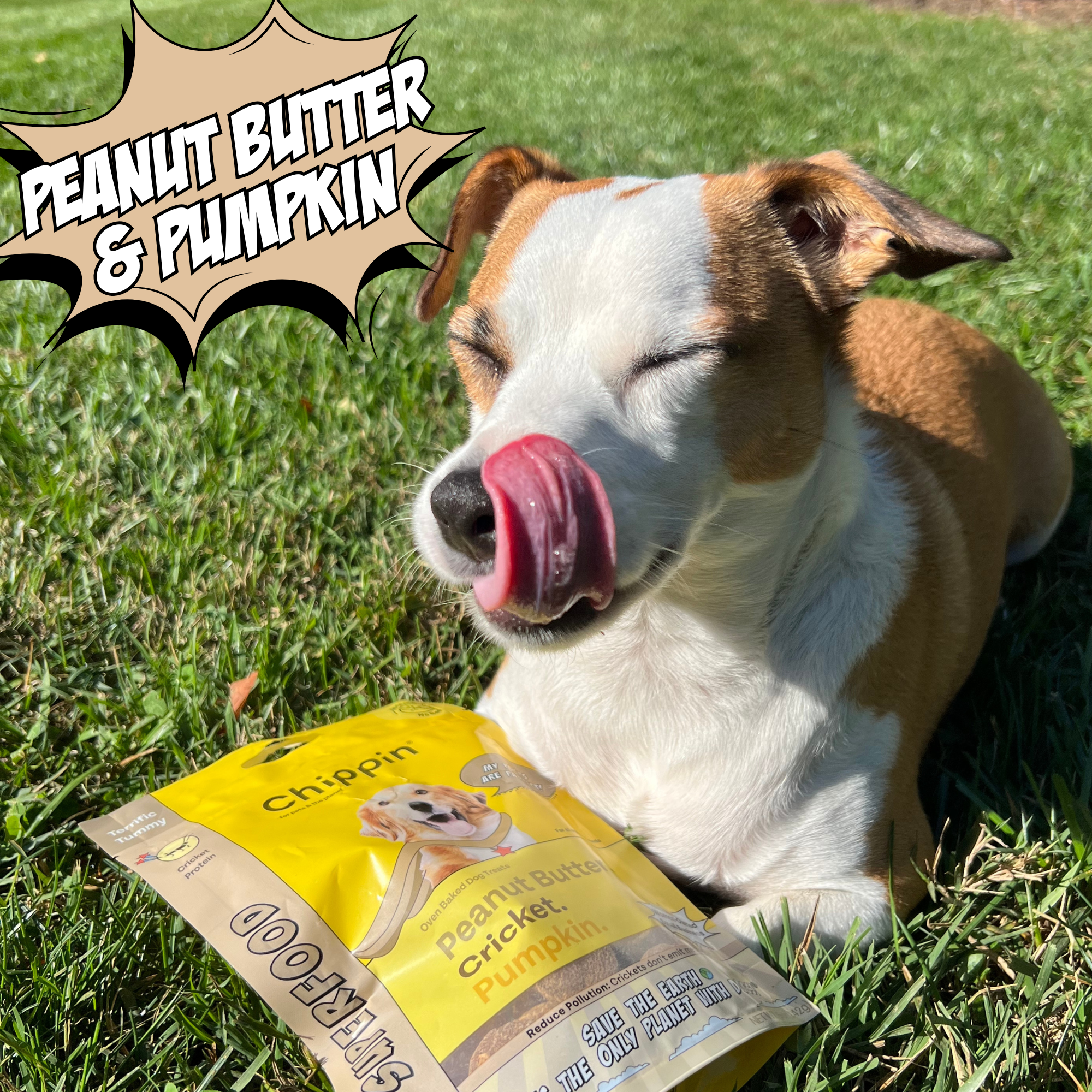 Cricket Dog Treats – Chicken-Free, Human-Grade Ingredients