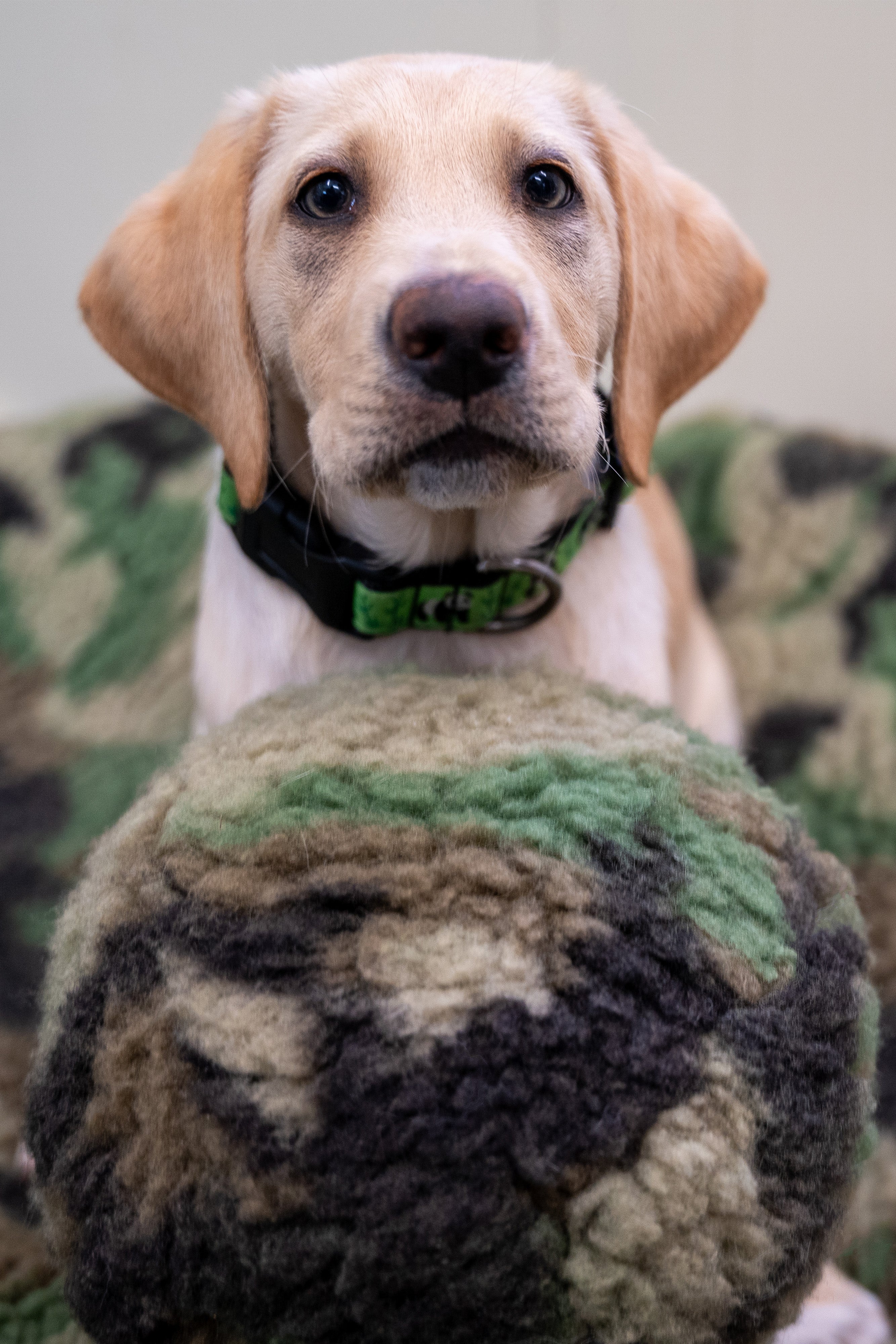 HuggleFleece Camouflage Ball Plush Dog Toy, Large 8"