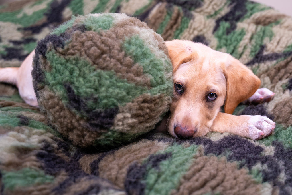 HuggleFleece Camouflage Ball Plush Dog Toy, Large 8"