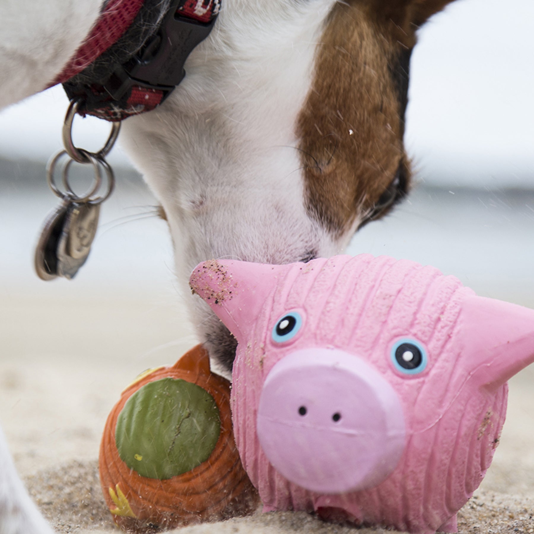 Hamlet the Pig Ruff-Tex Ball Dog Toy, 3" Squeaky Latex