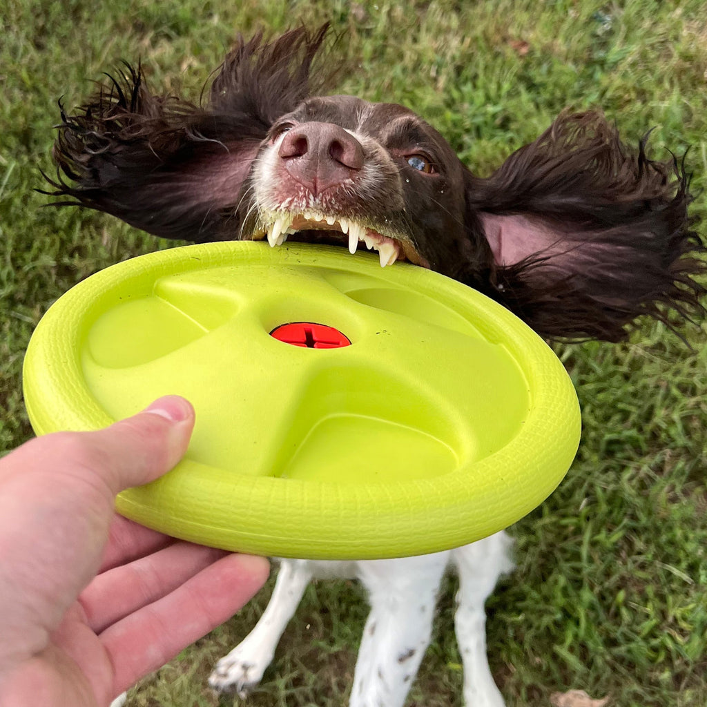 Durable Rubber Dog Frisbee for Chewers and Water Play