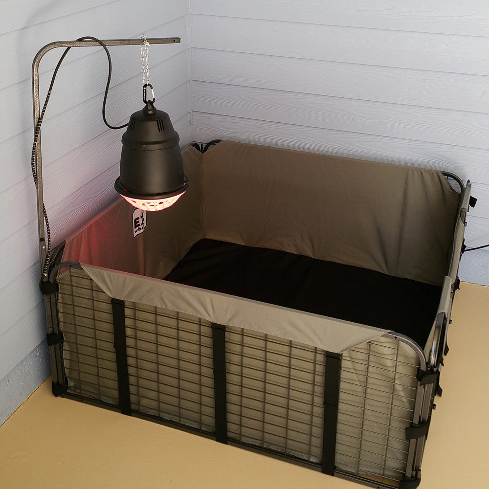Hanging Chain with Split Rings and Carabiner for Whelping Boxes