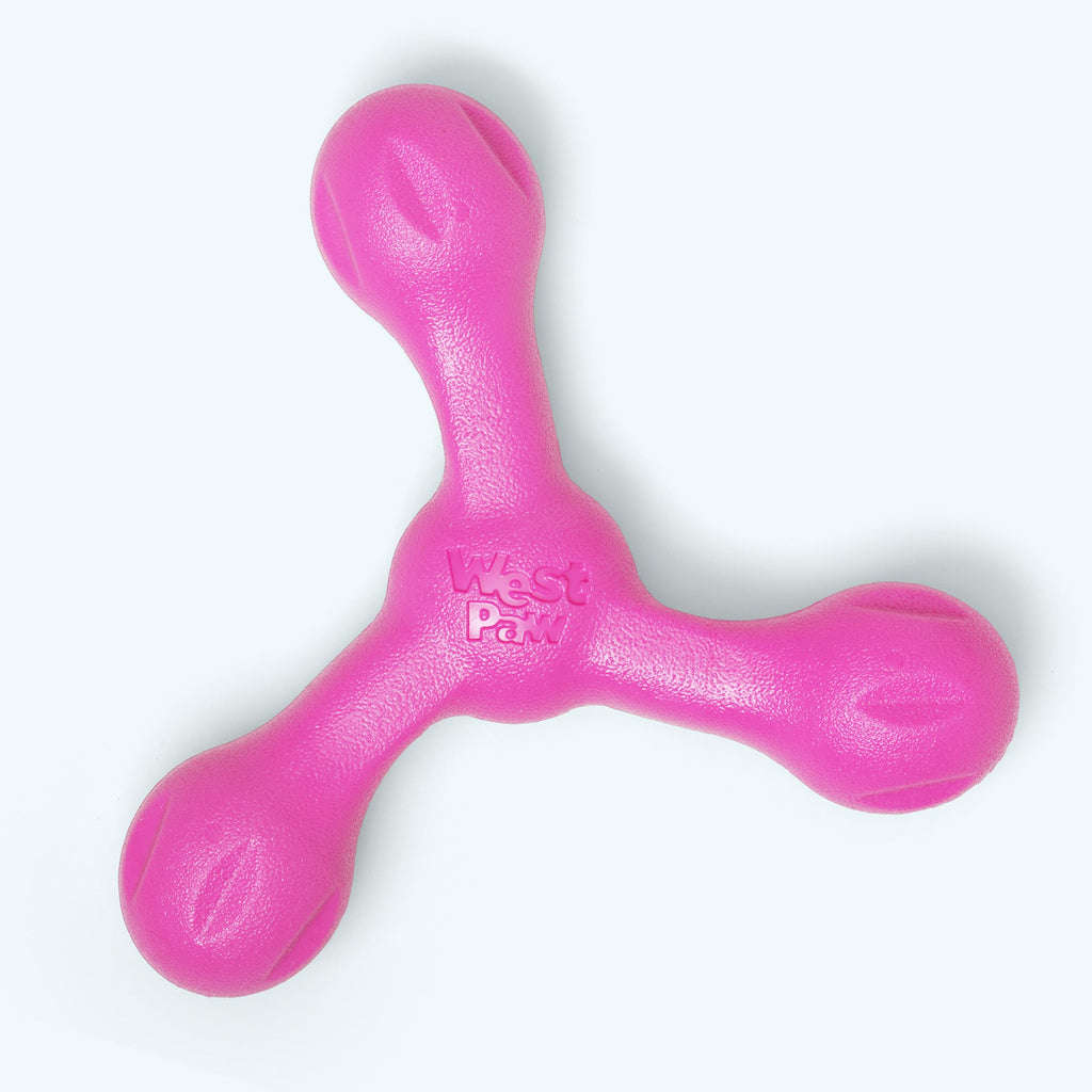 Zogoflex Echo Skamp Durable Dog Toy for Fetch and Tug