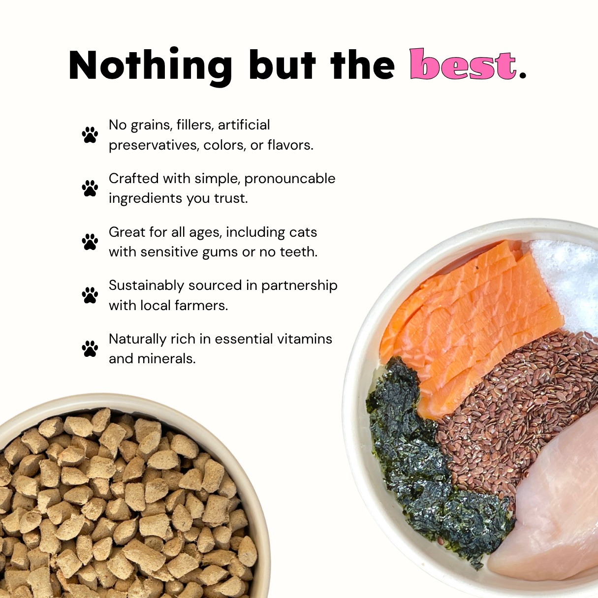Balanced Bowls Freeze-Dried Chicken & Salmon Dog Food