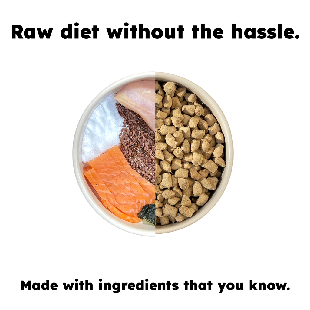 Balanced Bowls Freeze-Dried Chicken & Salmon Dog Food