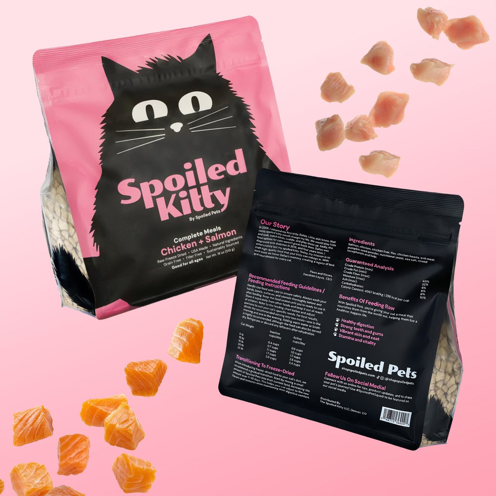 Balanced Bowls Freeze-Dried Chicken & Salmon Dog Food