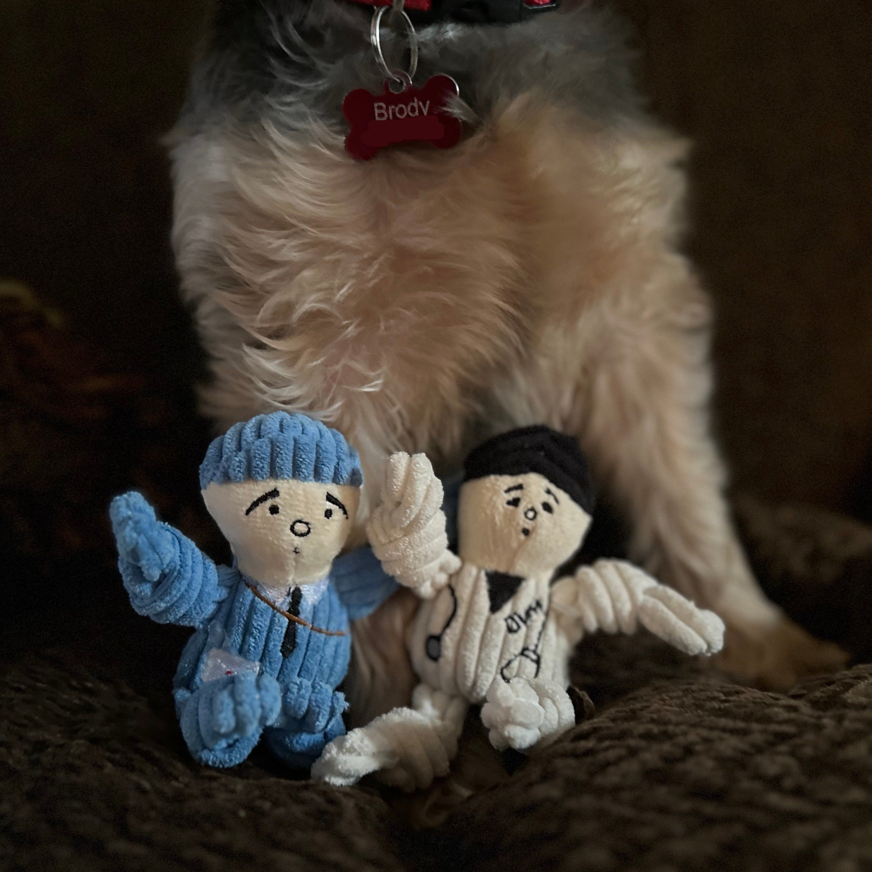 Wee Huggles 3-Pack Plush Dog Toys for Tiny Breeds – Dog People Edition