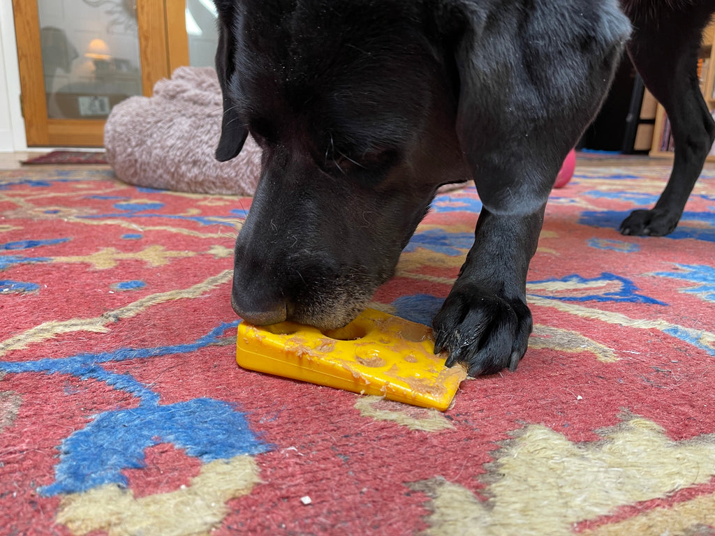 Swiss Cheese Wedge eChew Durable Dog Chew Toy, 5.5" for Power Chewers