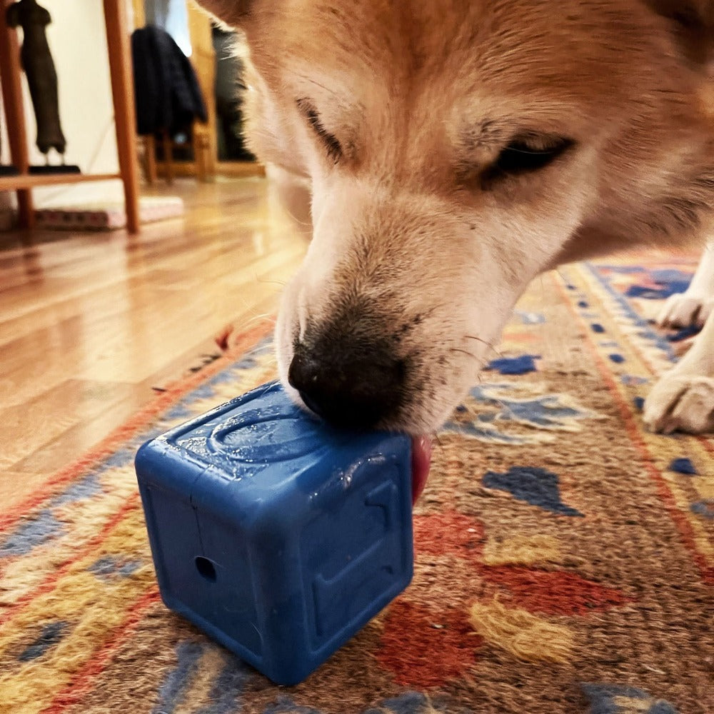 Love Cube Rubber Dog Chew Toy & Treat Dispenser – Large