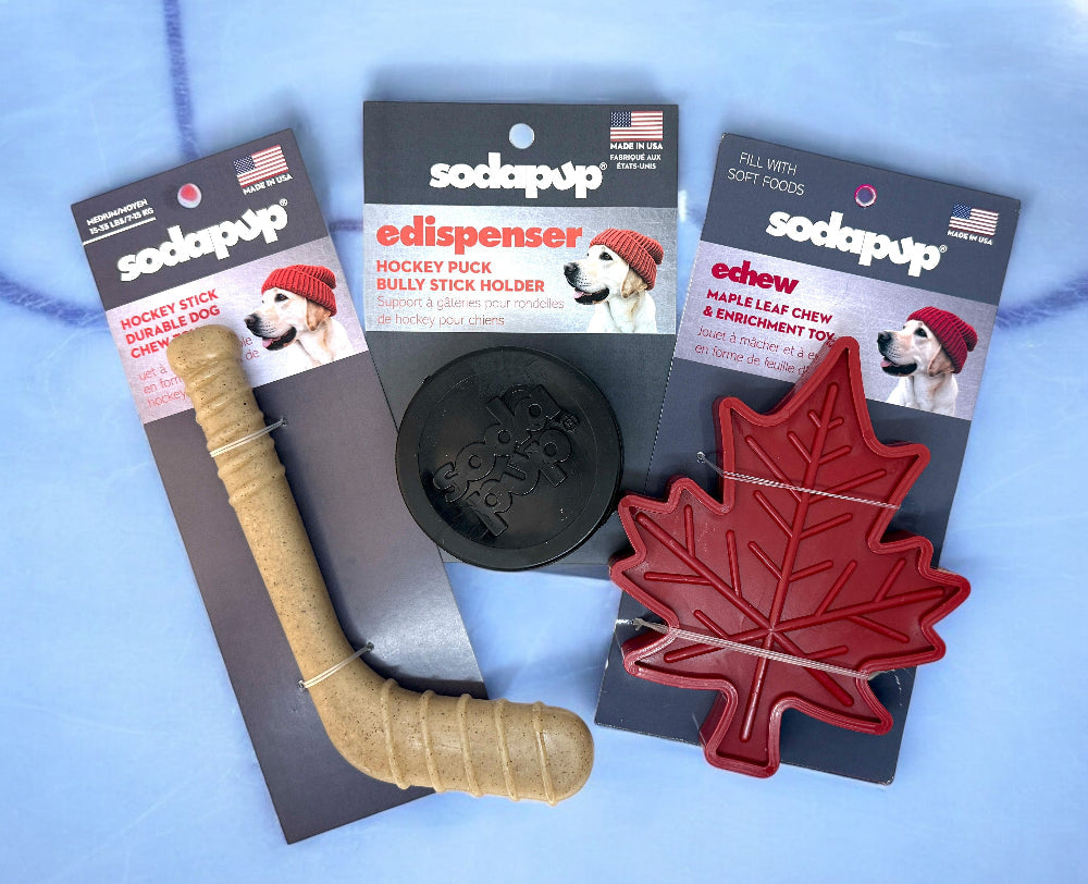 Hockey Stick Nylon Chew Toy for Dogs, Medium Size