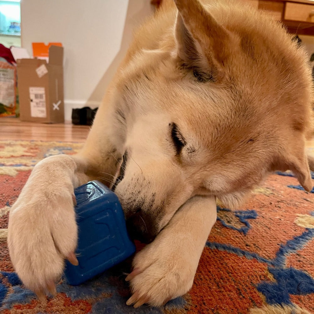 Love Cube Rubber Dog Chew Toy & Treat Dispenser – Large